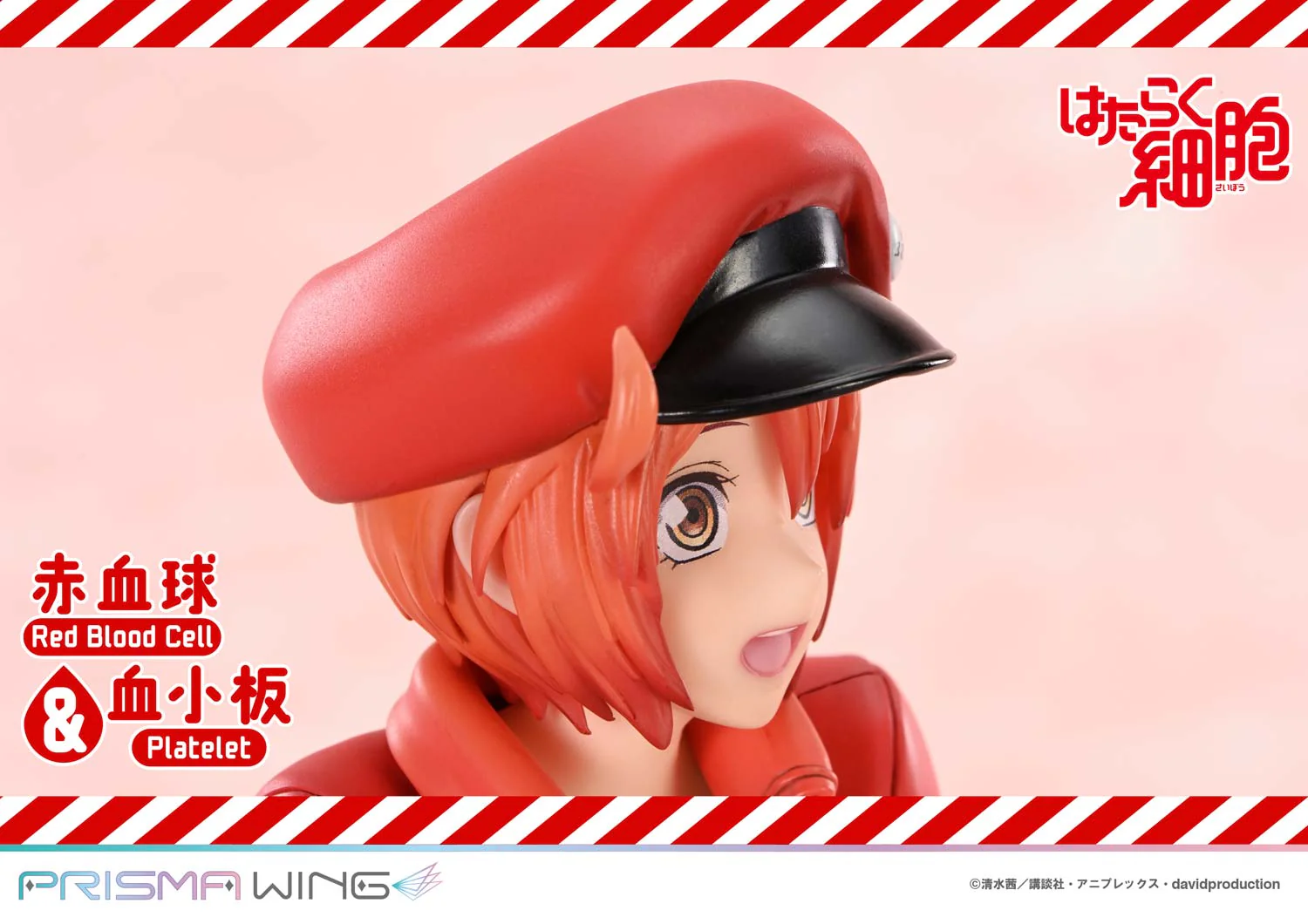 Thumbnail 12