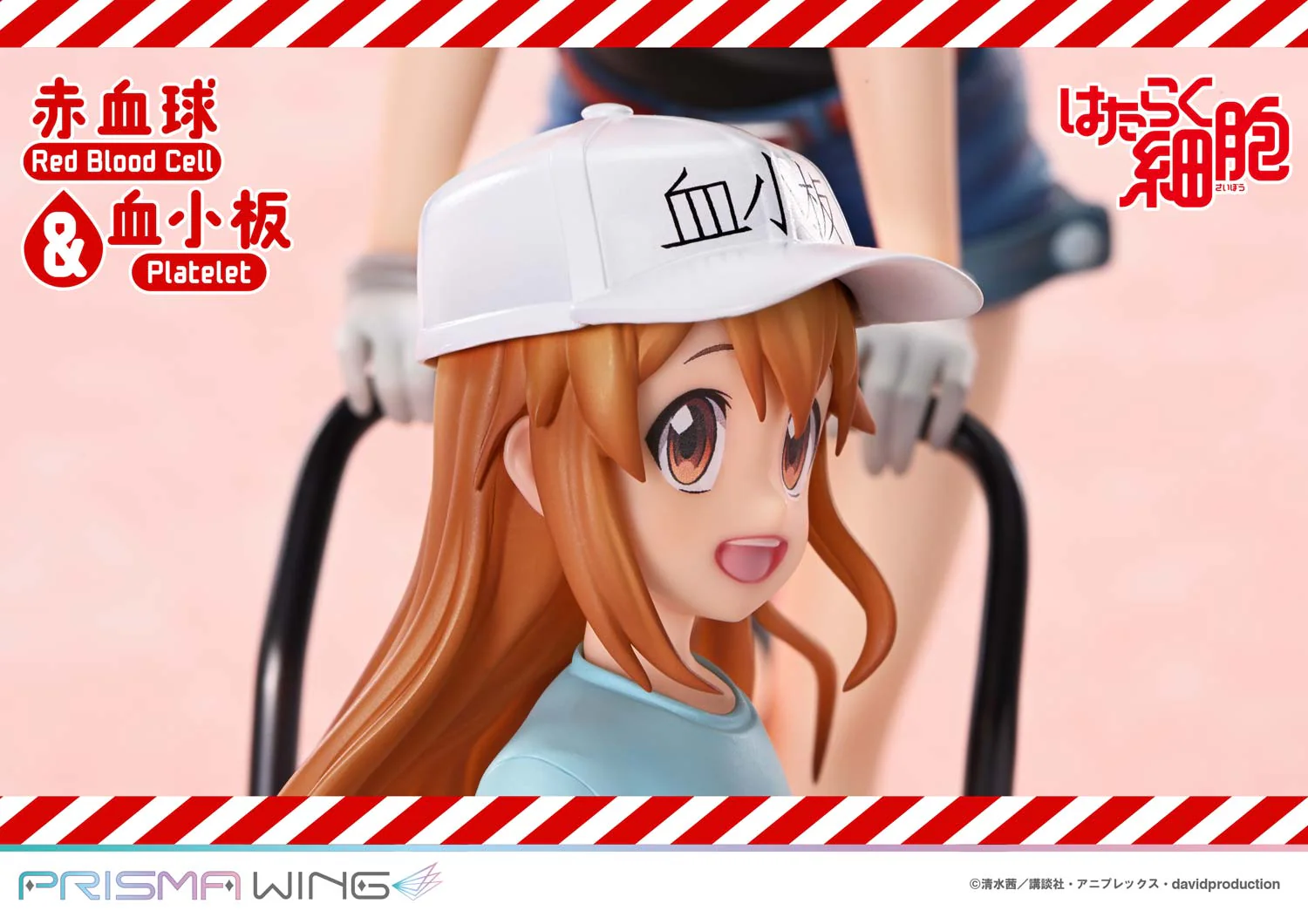 Thumbnail 17