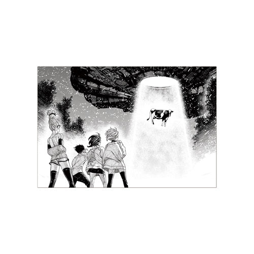 Thumbnail 16