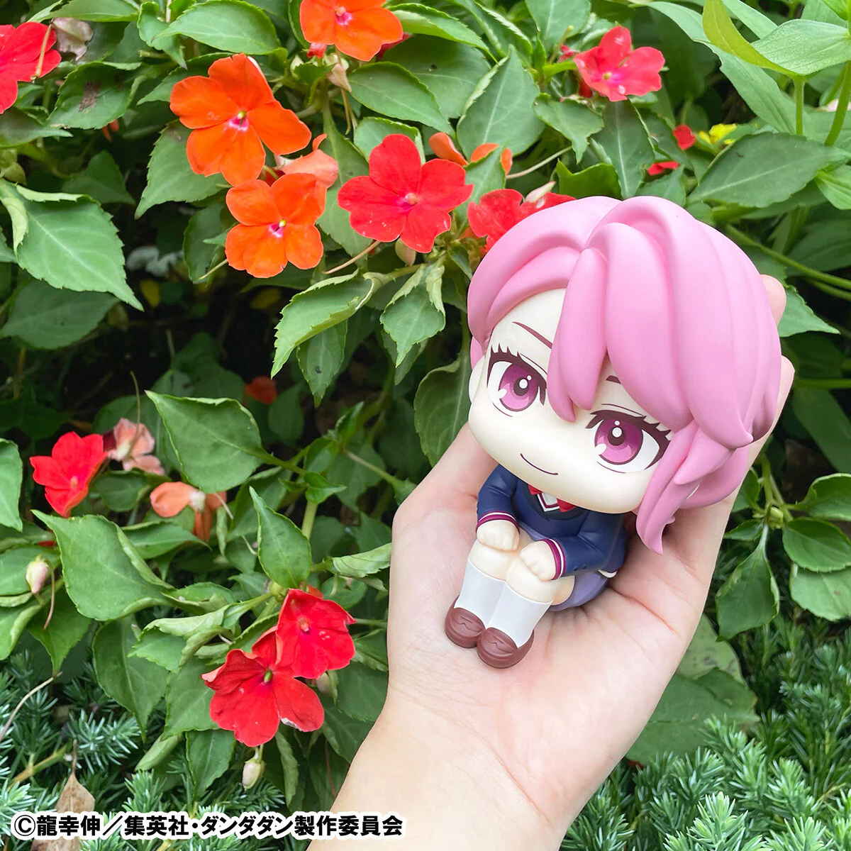 Thumbnail 11