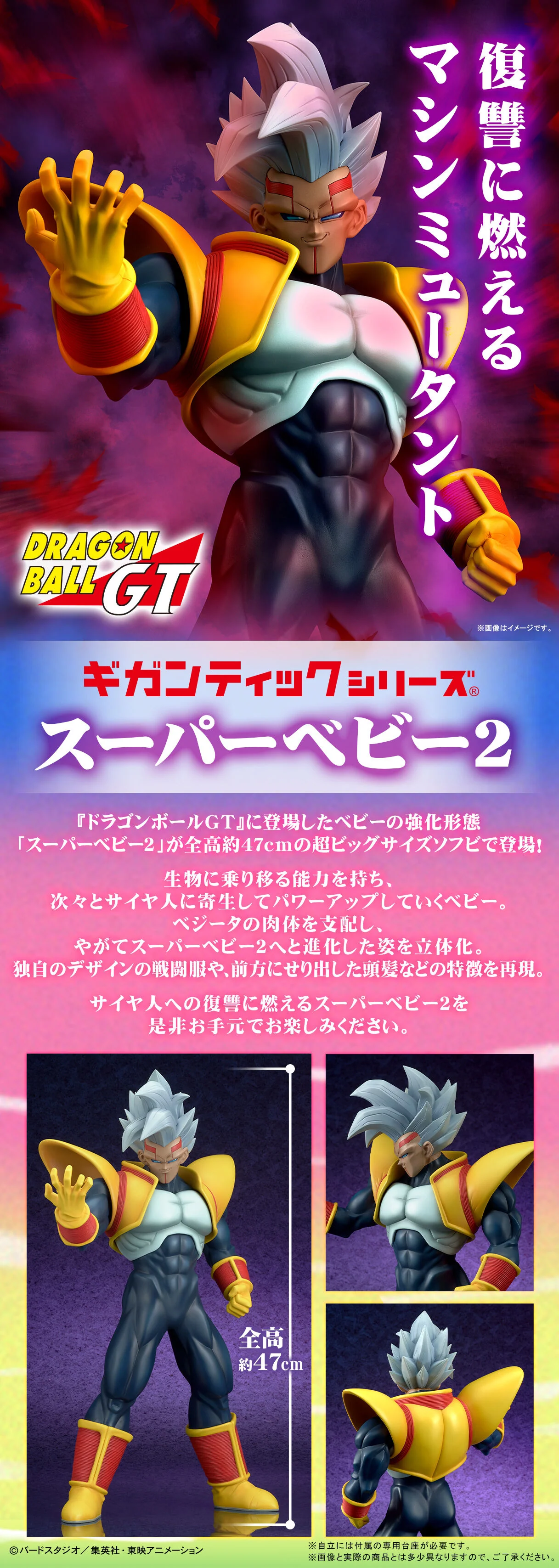 Thumbnail 12