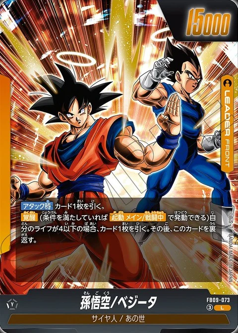 Thumbnail 16