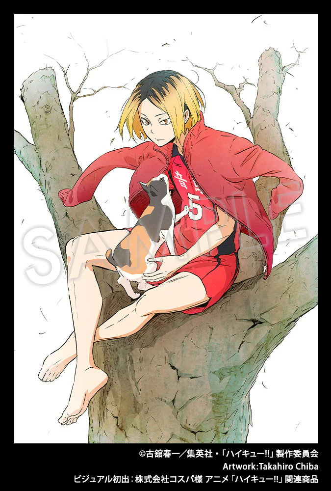 Thumbnail 11