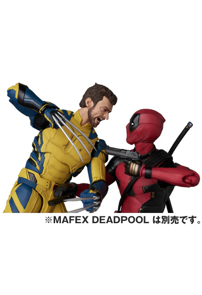 Thumbnail 12