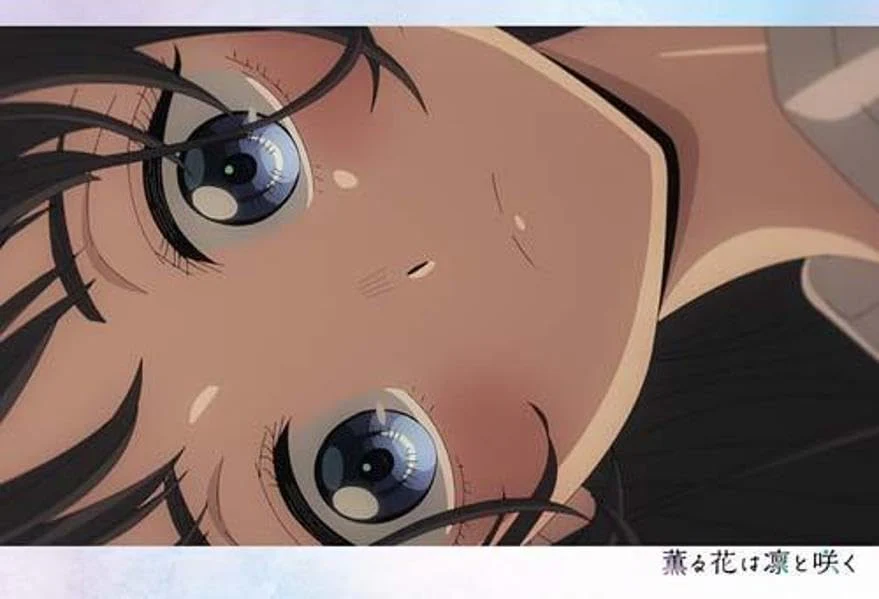 Thumbnail 17