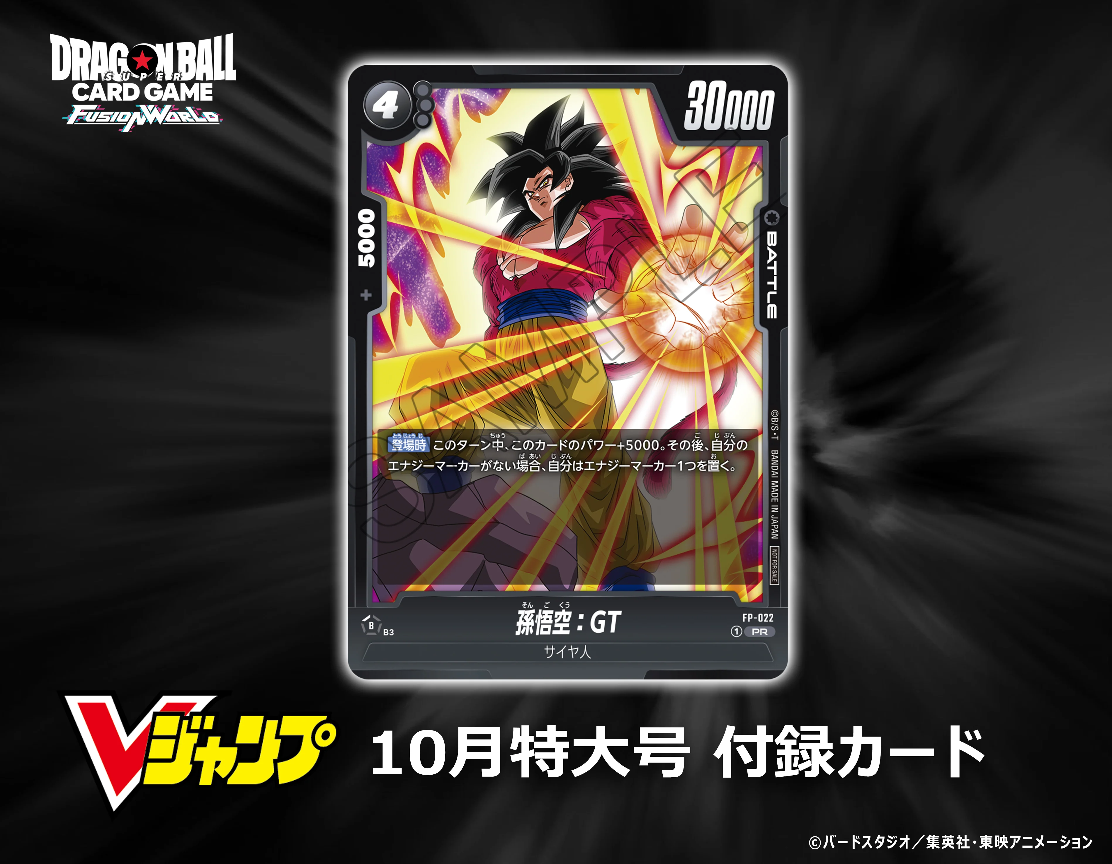 Thumbnail 12
